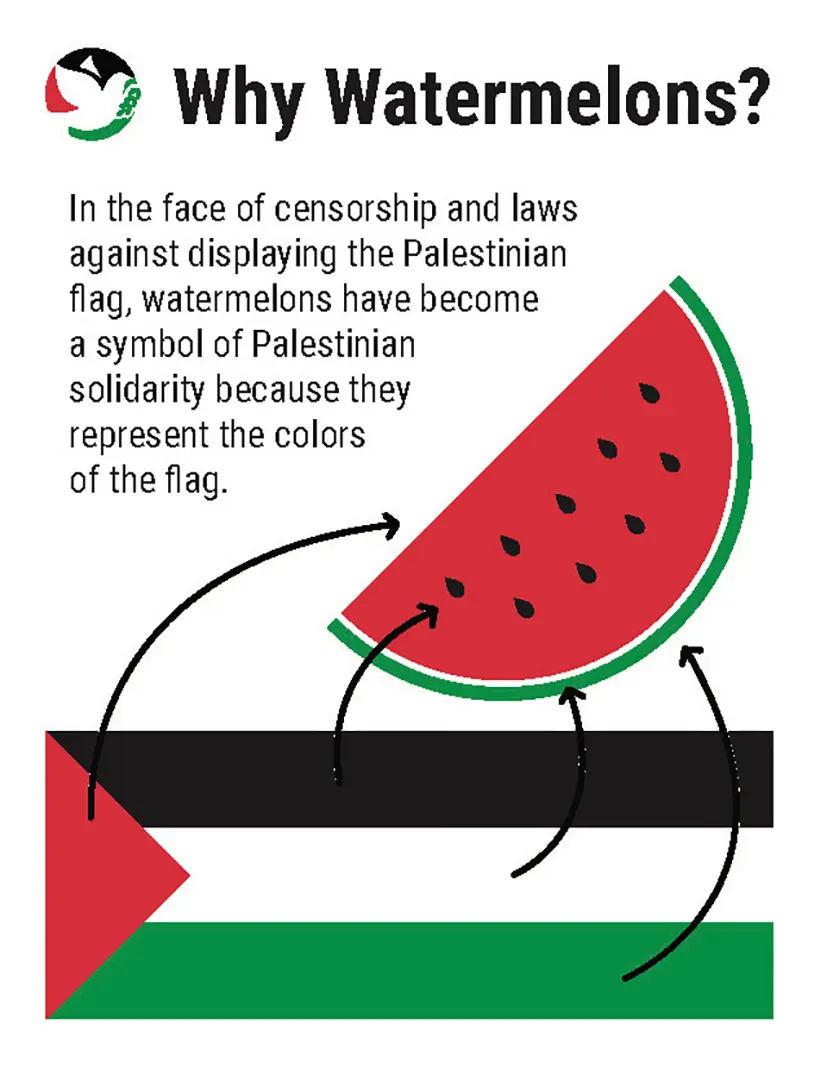 Flyer with the title 'Why Watermelons?' The SJP Iowa City logo is in the top left corner next to the title. The text reads: 'In the face of censorship and laws against displaying the Palestinian flag, 
                        watermelons have become a symbol of Palestinian solidarity because they represent the colors of the flag.' There's a graphic of the Palestinian flag across the bottom of the flyer, and above it a half-circle watermelon 
                        slice. Arrows point between the colors of the flag and the colors of the watermelon.