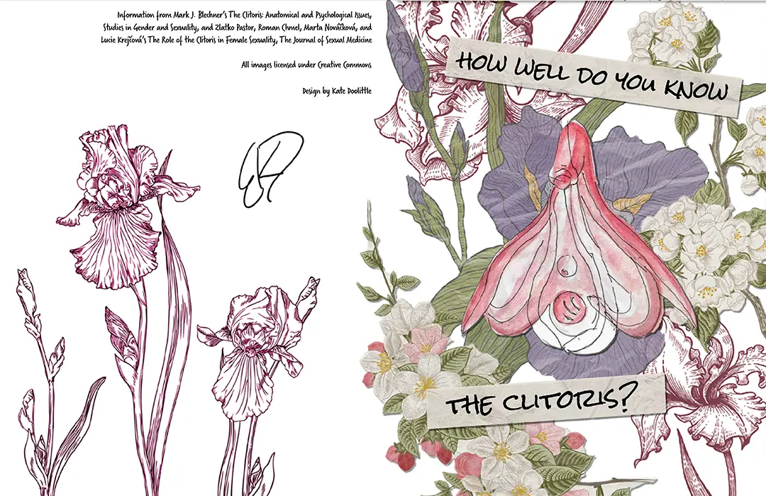 Front and back cover of the zine. There are collaged flowers in the background and 
                        a drawing of the clitoris in the center. The title of the zine is in a marker font on strips of tape. 
                        The flowers wrap around to the back where the sources are cited and it's signed.