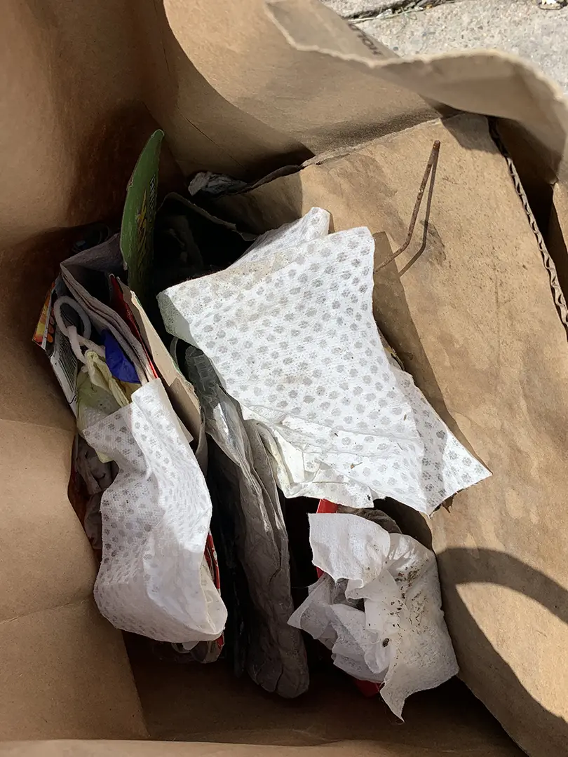 Close up of trash inside a brown paper bag.